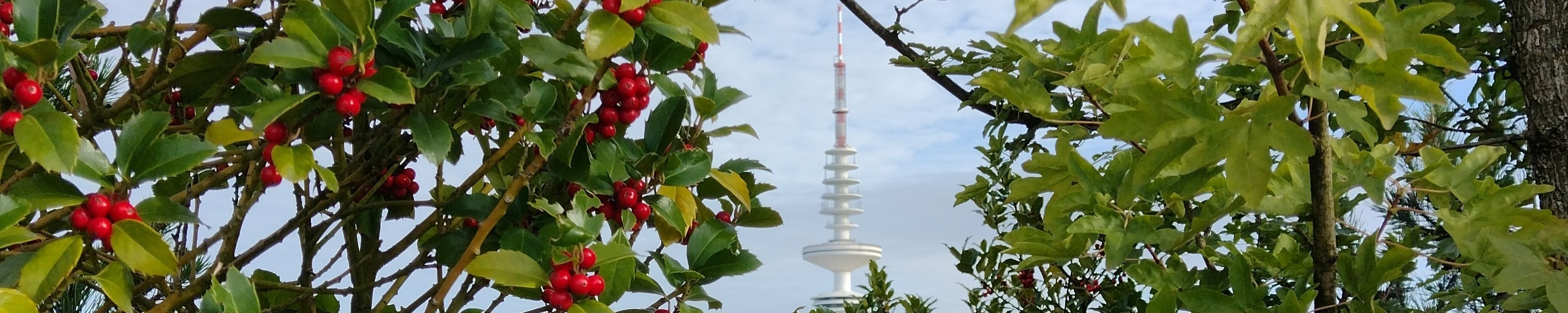 Hamburg - Fernsehturm